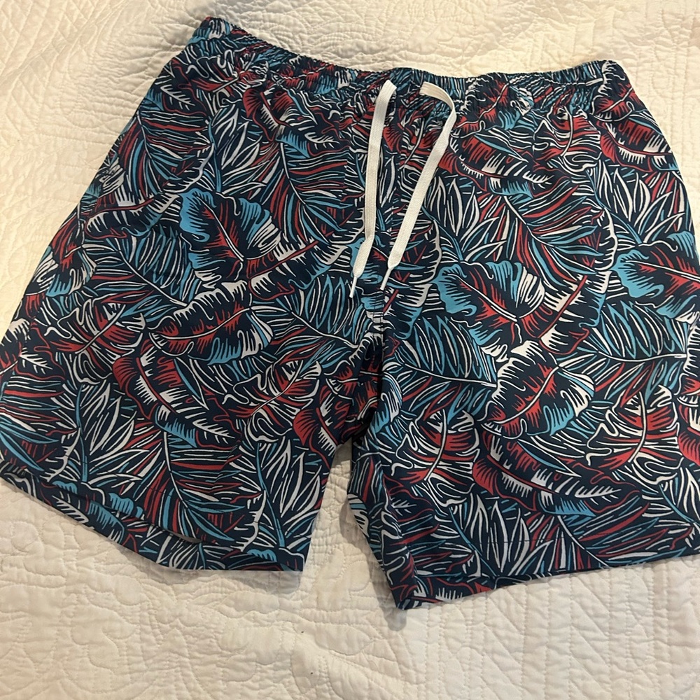 Chubbies Blue and Red Swim Trunks Quick-Dry